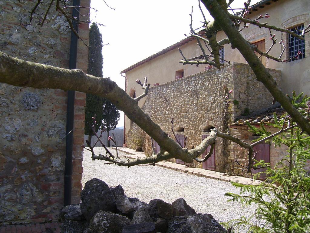 Agriturismo Natura E Salute San Gimignano Exterior foto